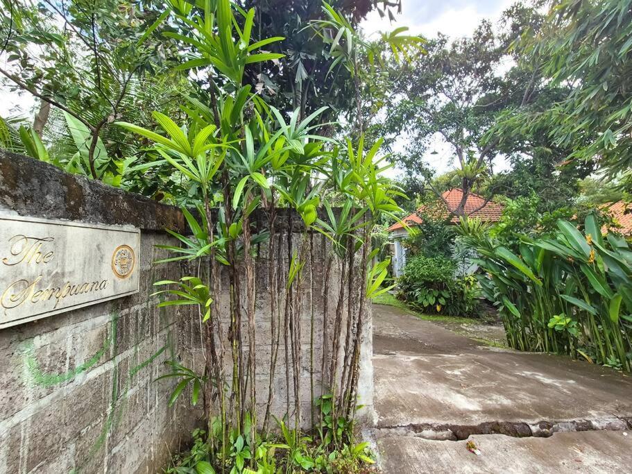 The Sempuana Villa เดนปาซาร์ ภายนอก รูปภาพ