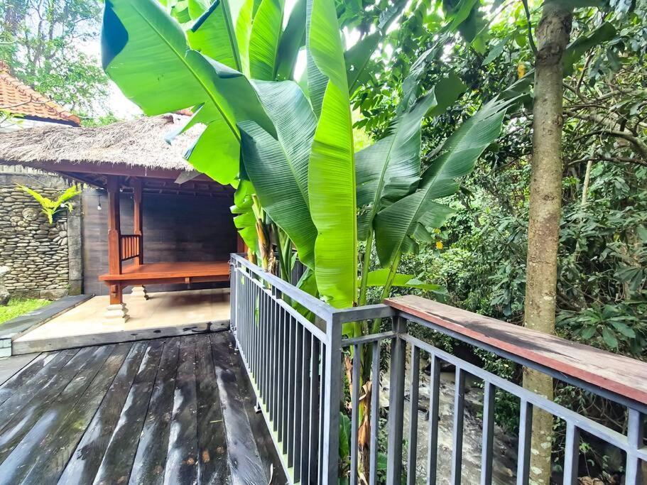 The Sempuana Villa เดนปาซาร์ ภายนอก รูปภาพ